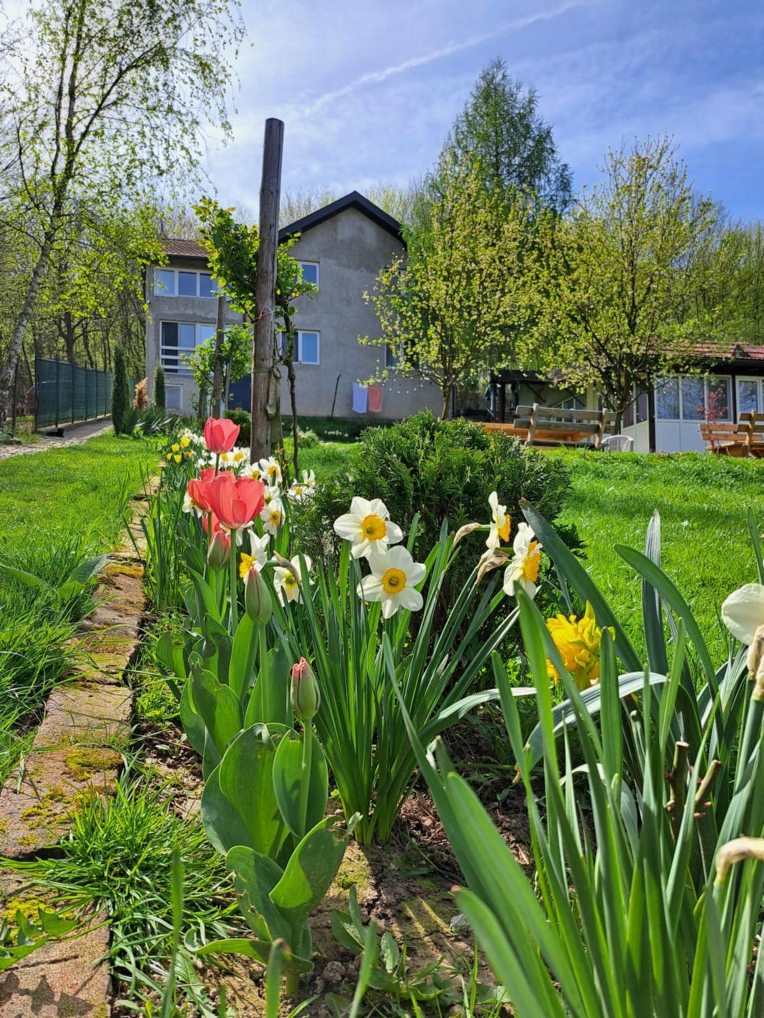 Mala Farma Nani Villa Visoko Eksteriør bilde